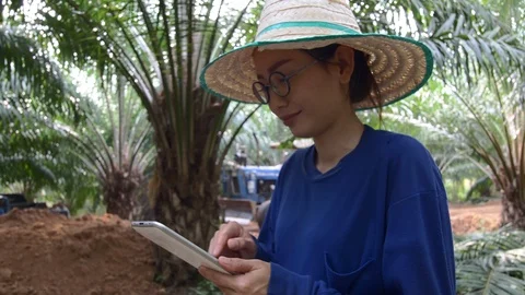 Asian Female farmer using tablet computer Stock Footage 106043323