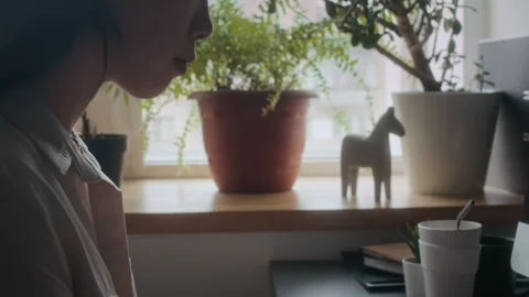 Asian Female Programmer Working on Computer at Office Desk near Window Stock Footage 306204948