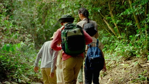 Asian female teachers are taking students on a nature trail to study nature Stock Footage 166314453