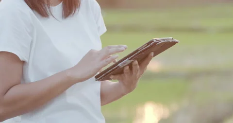 Asian female using digital tablet in agricultural field, morning light Stock Footage 200521887