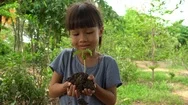 Asian Girl Holding Green Small Plant And Soil In Her Hands Stock Footage