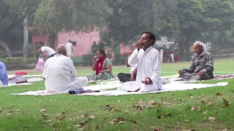 Asian indian people doing yoga in park Stock Footage