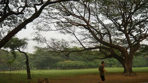 Asian jogging in park after rain Video stock 107989029