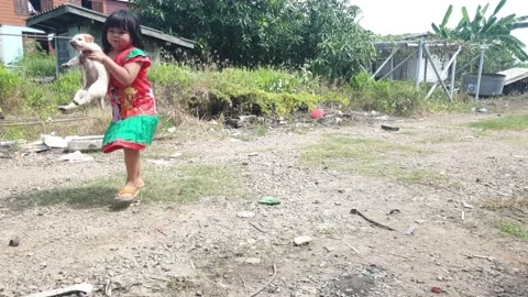 Asian Kid playing with her white puppy at meadow in her home Stock Footage 142814616