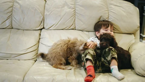 Asian Kid of two years plays with a puppy, laughs and has a good time with his Stock Footage 165540985