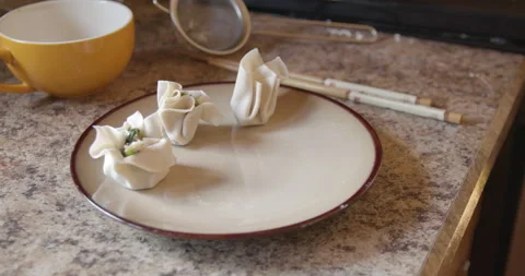 Asian lady making dumplings Stock Footage 131920859
