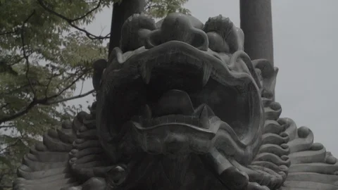 Asian lion's head Stock Footage 85814383