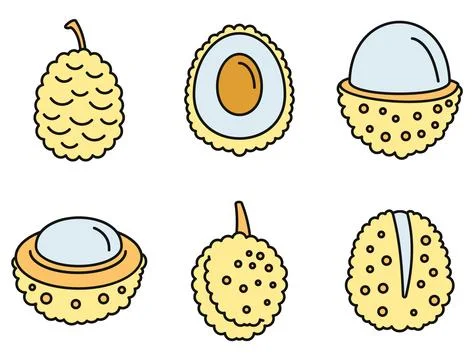 Asian lychees icons set vector color Stock Illustration