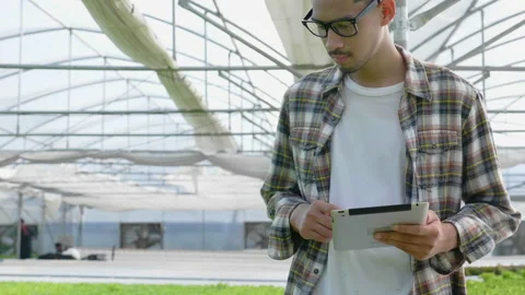 Asian male farmer using a tablet to inspect vegetables in their greenhouses. Stock Footage 139347003