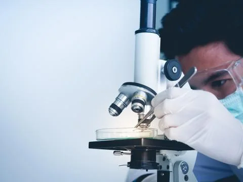 Asian male scientist Is working seriously Chemistry experiment. Stock Photos