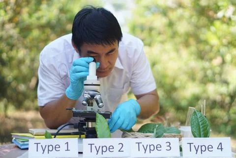 Asian man is doing science experiment Foto stock