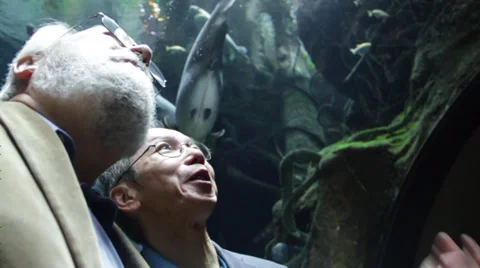 Asian man exchanges information about the scenic beauty of aquarium Stock Footage 36159609