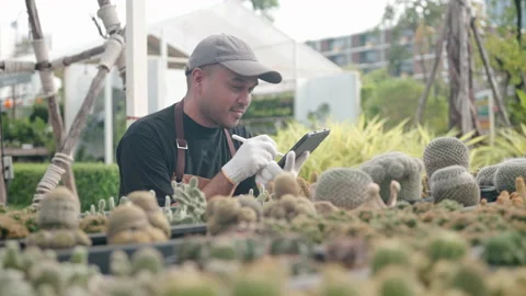 Asian man gardener checking cactus plot in the green house with tablet. Stock Footage 220871700