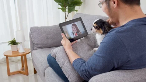 Asian man on sofa video call with girlfriend and pet 스톡 동영상 129843733