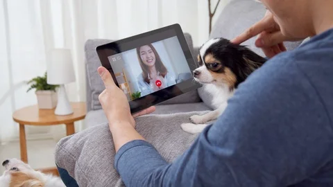 Asian man on sofa video call or video conference with girlfriend and pet 스톡 동영상 129844320