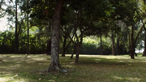 Asian man training workout Stock Footage 53081932