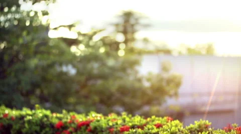 Asian man using smartphone Stock Footage 55922726