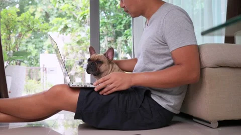 Asian Man Working At Home Using Laptop While Playing With His Dog. 库存影片 195401272