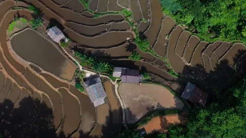 Asian man working on the rice fields with the tractor. Image taken from above Stock Footage 124636197