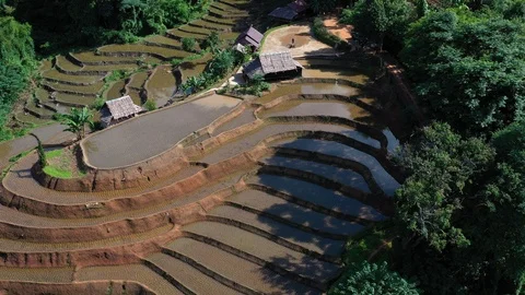 Asian man working on the rice fields with the tractor. Image taken from above Stock Footage 124636216