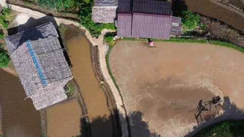 Asian man working on the rice fields with the tractor. Image taken from above Stock Footage 124636282