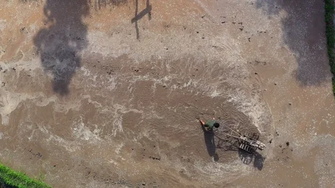 Asian man working on the rice fields with the tractor. Image taken from above Stock Footage 124636323