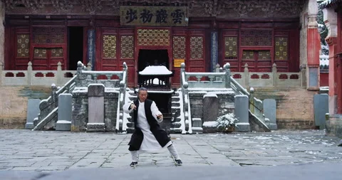 Asian master, demonstrates Tai chi martial arts in Wudang mountain China. Slow m Stock Footage 201095120