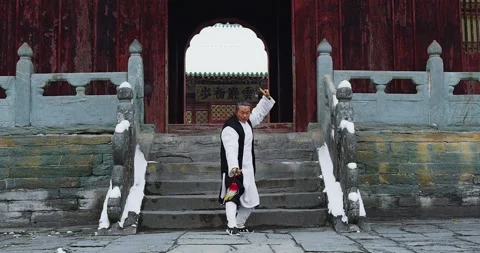 Asian master, demonstrates Tai chi martial arts sword combat in Wudang mountain Stock Footage 201095873