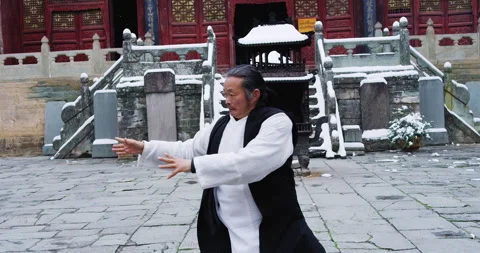 Asian master, demonstrates Tai chi martial arts in Wudang mountain China. Slow m Vídeos de archivo 201096840