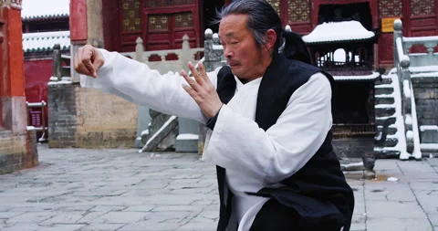 Asian master, demonstrates Tai chi martial arts in Wudang mountain China. Slow m Stock Footage 201097177