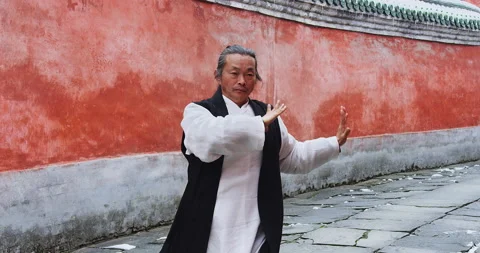 An Asian master of tai chi martial arts demonstrates tai chi in winter with snow Stock-Footage 201096037
