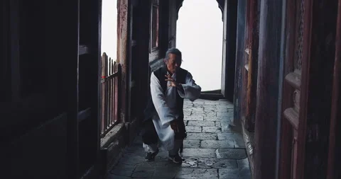 An Asian master of tai chi martial arts demonstrates tai chi in a temple of Wuda Vídeos de archivo 201096543