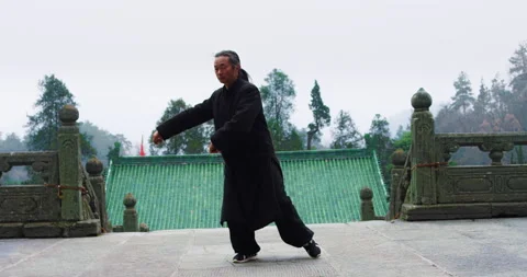 An Asian master of tai chi martial arts demonstrates tai chi in Wudang mountain Vídeos de archivo 201096723