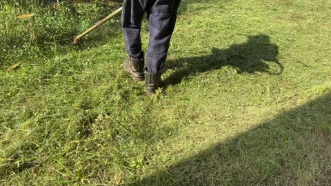 Asian men cutting grass with shadow contrast Stock Footage 328486490