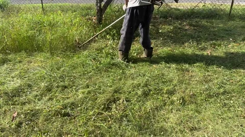 Asian men cutting grass using machine Stock Footage 328486483