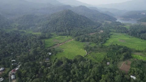 Asian mountains and rice fields Stock Footage 223534048