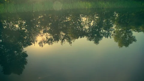 Asian nature in springtime Stock Footage 92041546