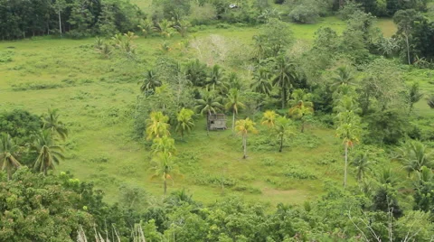 Asian Nipa Hut Video stock 43619340