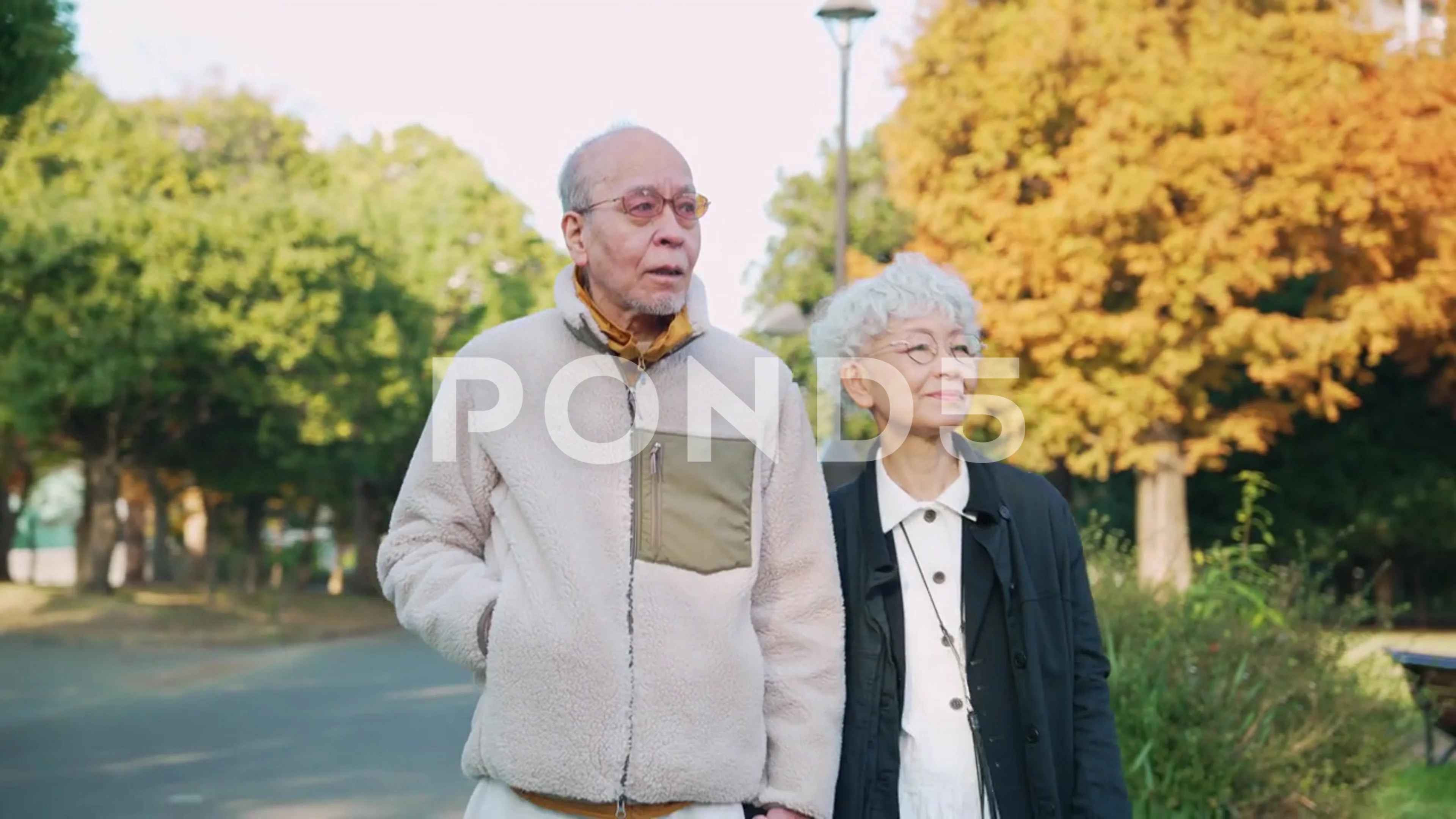 Asian old aged couple walking in the park. Second life.