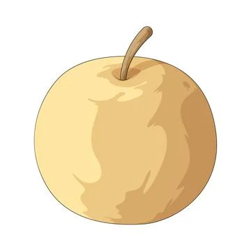 Asian pear illustration Stock Illustration