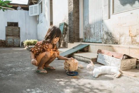 Asian playing with cat at java traditional home 스톡 사진