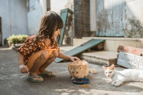 Asian playing with cat at java traditional home 스톡 사진