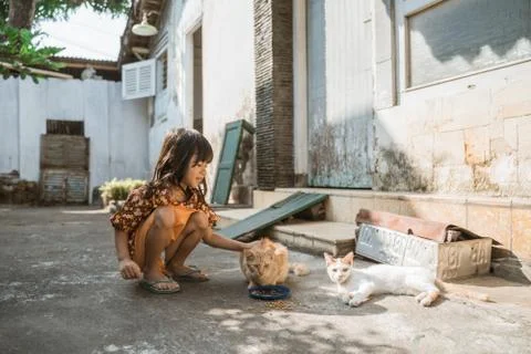 Asian playing with cat at java traditional home 스톡 사진