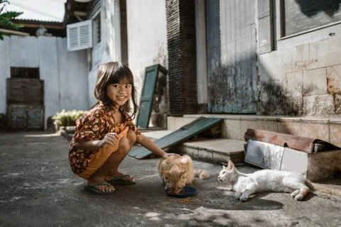 Asian playing with cat at java traditional home 스톡 사진