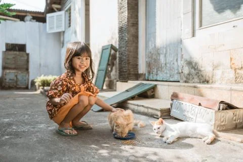 Asian playing with cat at java traditional home 스톡 사진