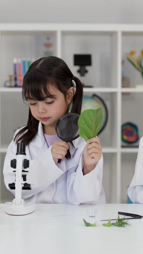 Asian Primary School Student Examining Green Leaf with Magnifying Glass Stock Footage 346282307