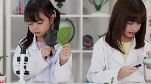 Asian Primary Students Examining Green Leaf with Magnifying Glass in Science Lab Stock Footage 345022802