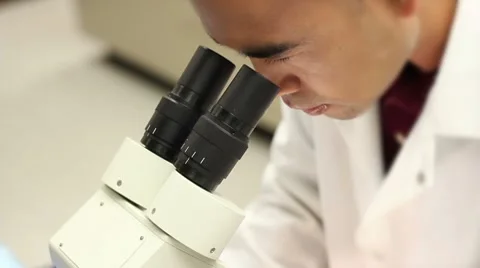 Asian Researcher looking in microscope Stock Footage 8777584
