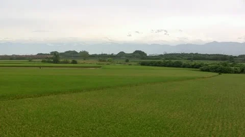 Asian rice field and train Stock Footage 11237617