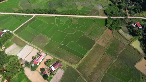 Asian Rice Fields Aerial Patchwork Panorama Stock Footage 263512682